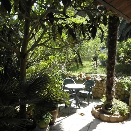 Vesna * ヴェリ・ロシニュ