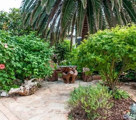 Vesna וולי לוסיניי